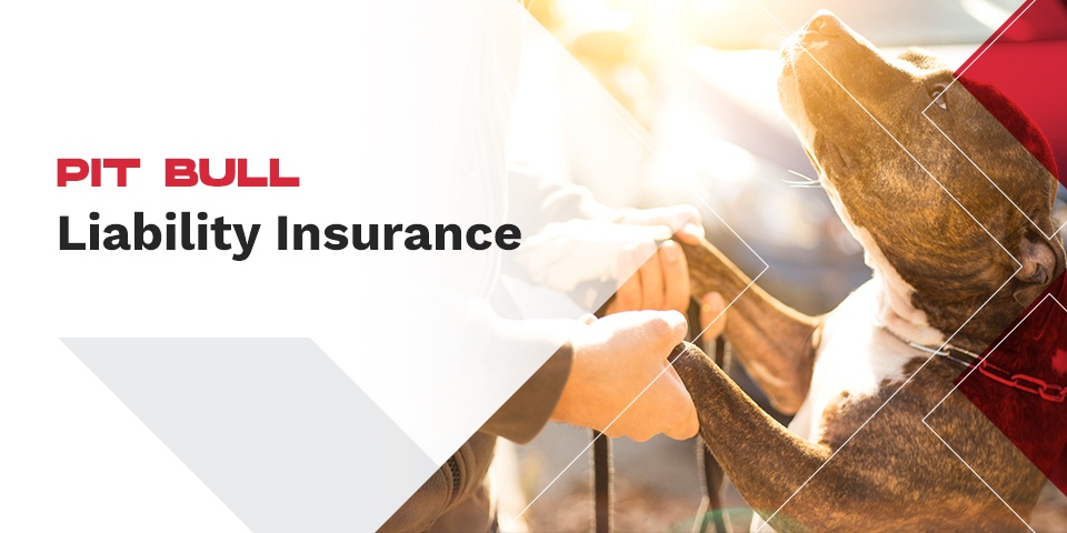 pit bull liability insurance