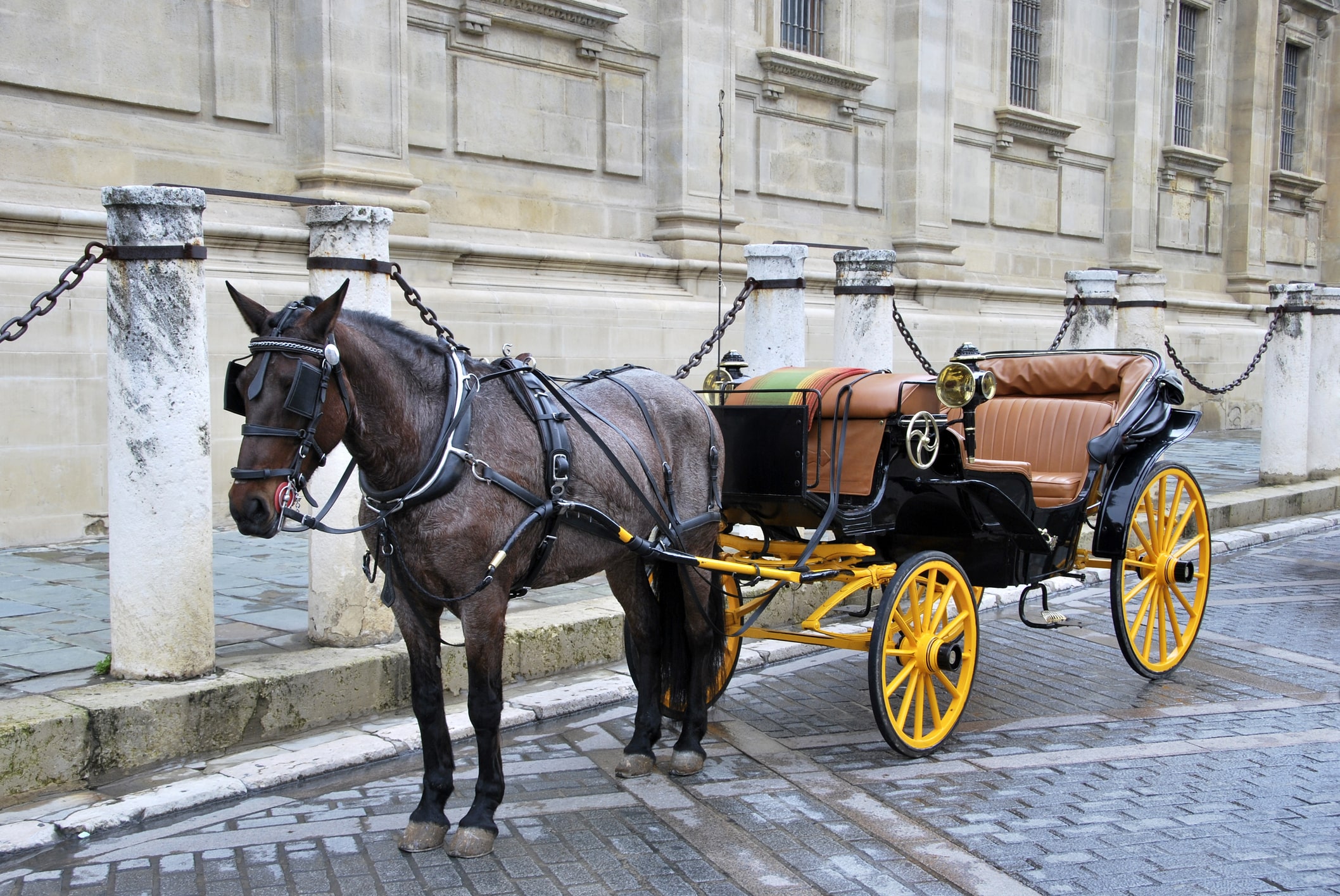 Liability Insurance for Horse Carriage Operations & Services