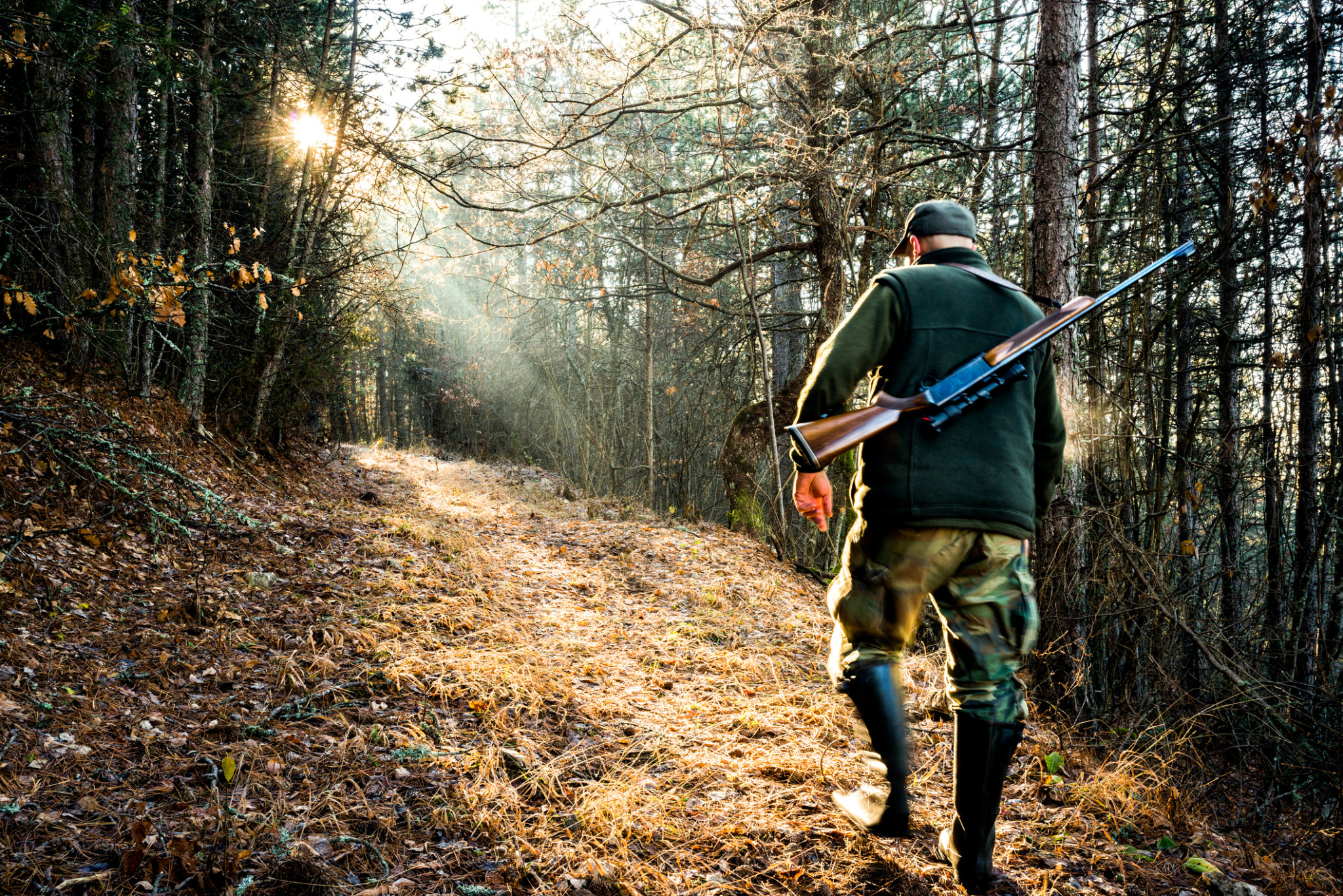 Hunter with rifle in the woods | Hunting Insurance