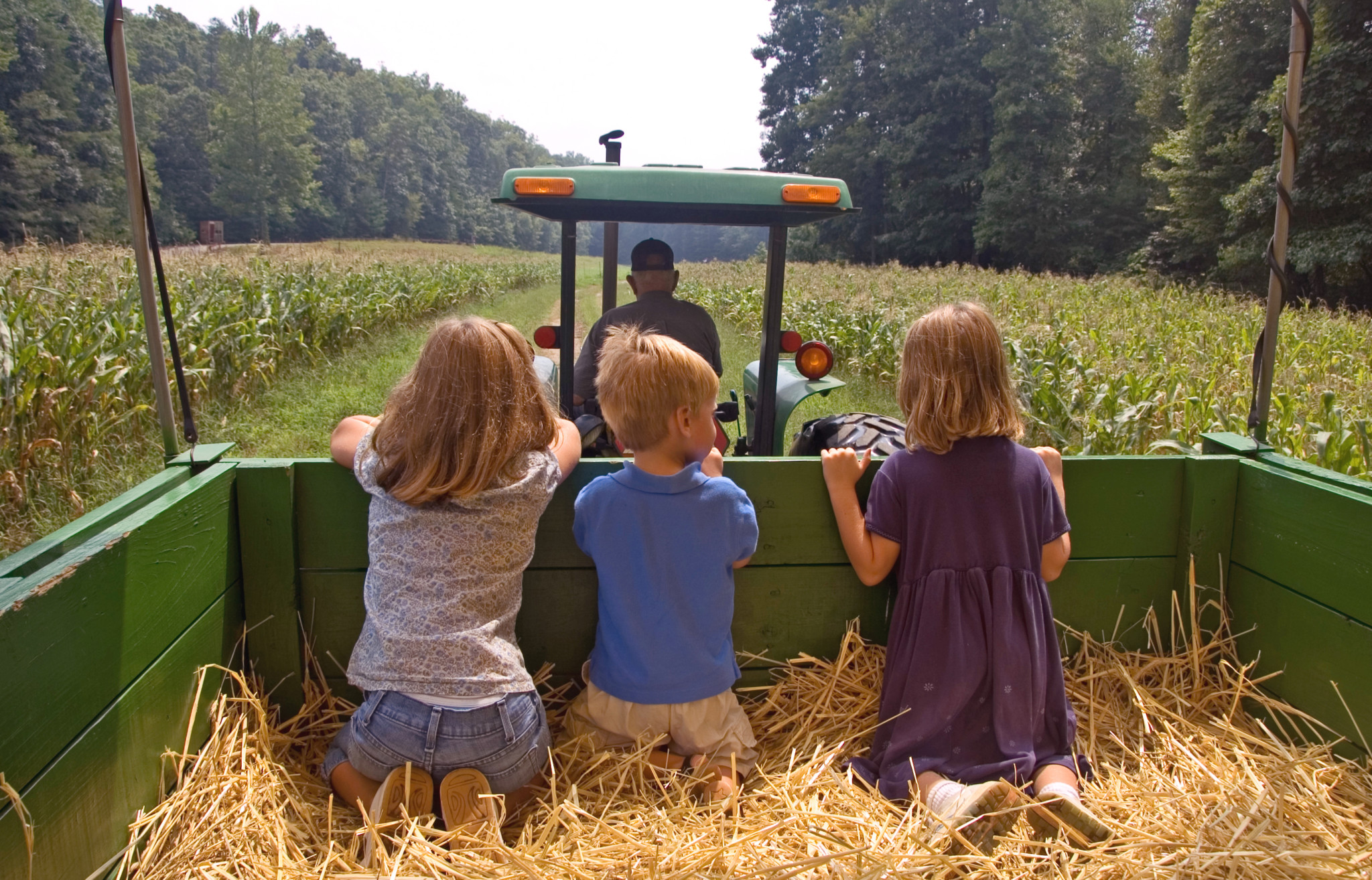 Three young children on a hayride | Fall business insurance