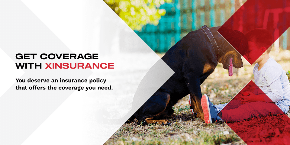 03-Get-Coverage-With-XINSURANCE Customized liability policy for dogs