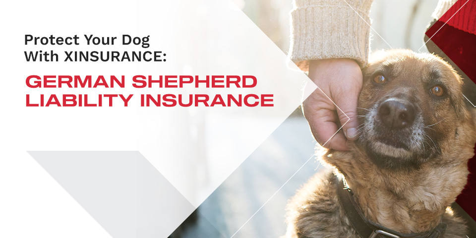 Protect Your Dog With XINSURANCE: German Shepherd Liability Insurance