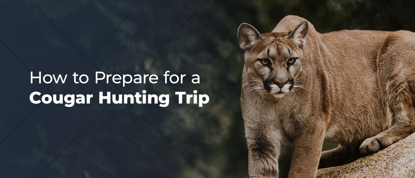 How to Prepare for a Cougar Hunting Trip