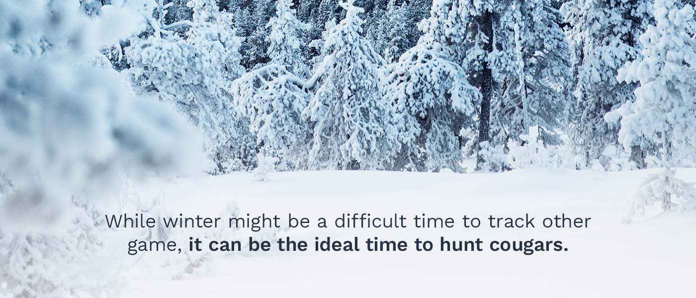 Plan the Hunt for the Winter