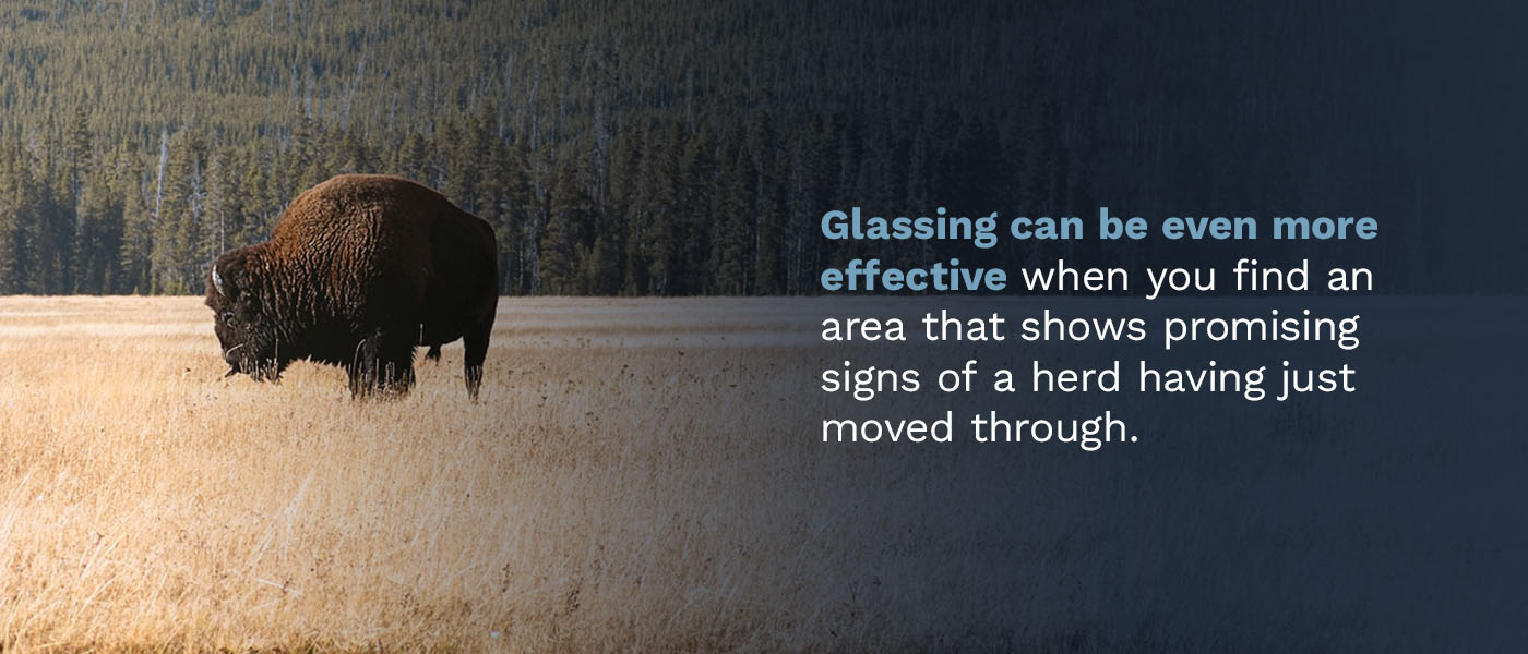 Find a Prime Glassing Area