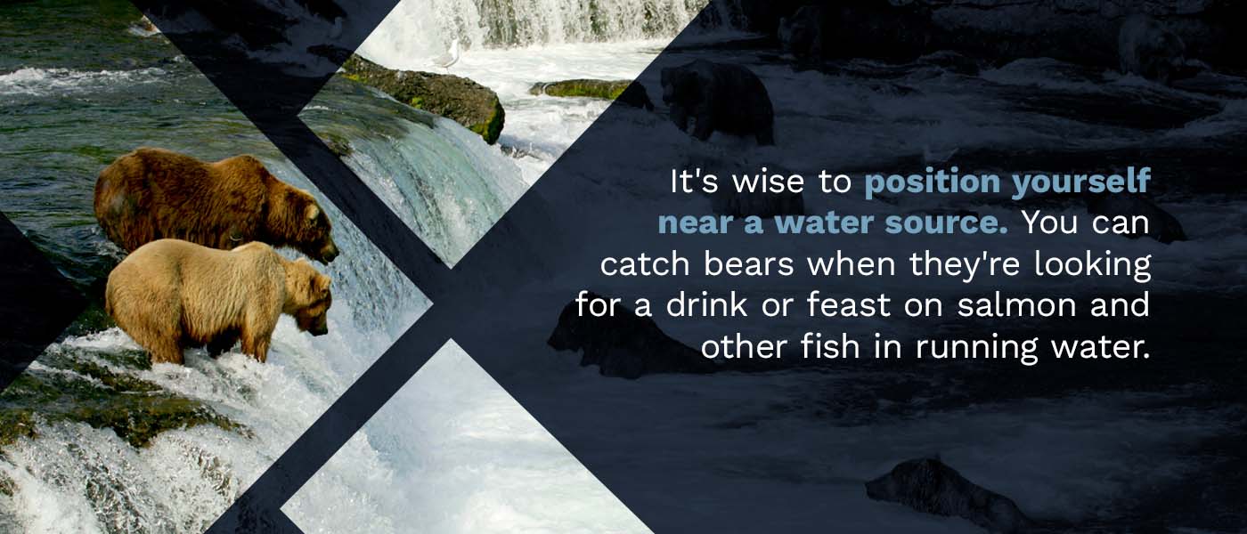 Position Yourself in Places a Bear Would Eat