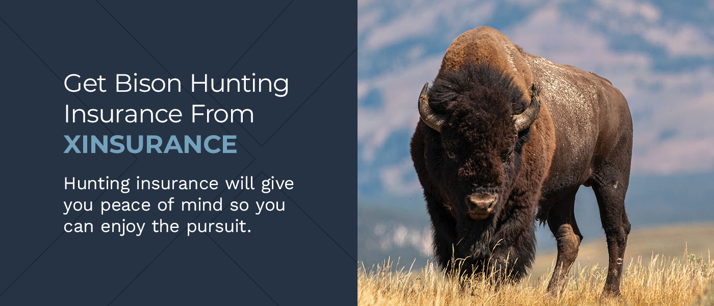 Get Bison Hunting Insurance From XINSURANCE
