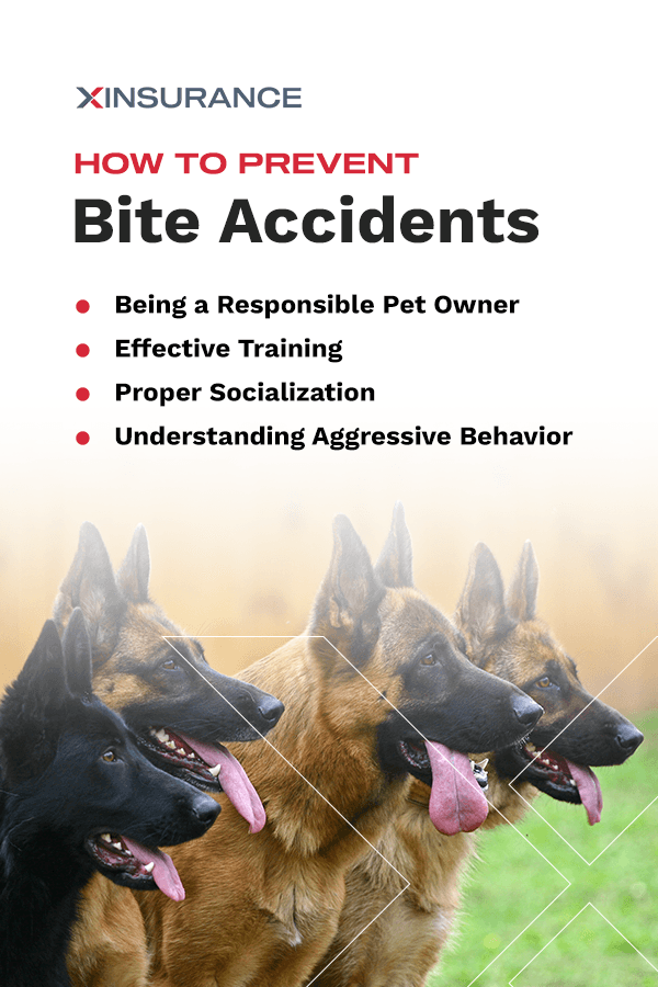 How to Prevent Bite Accidents