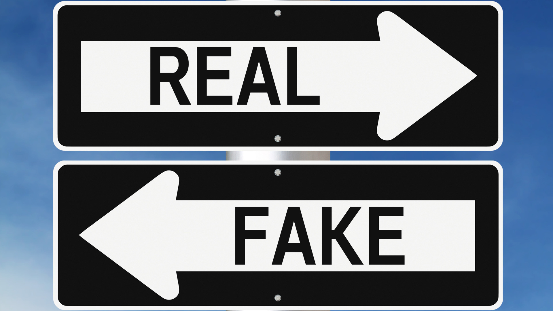 real insurance vs fake insurance