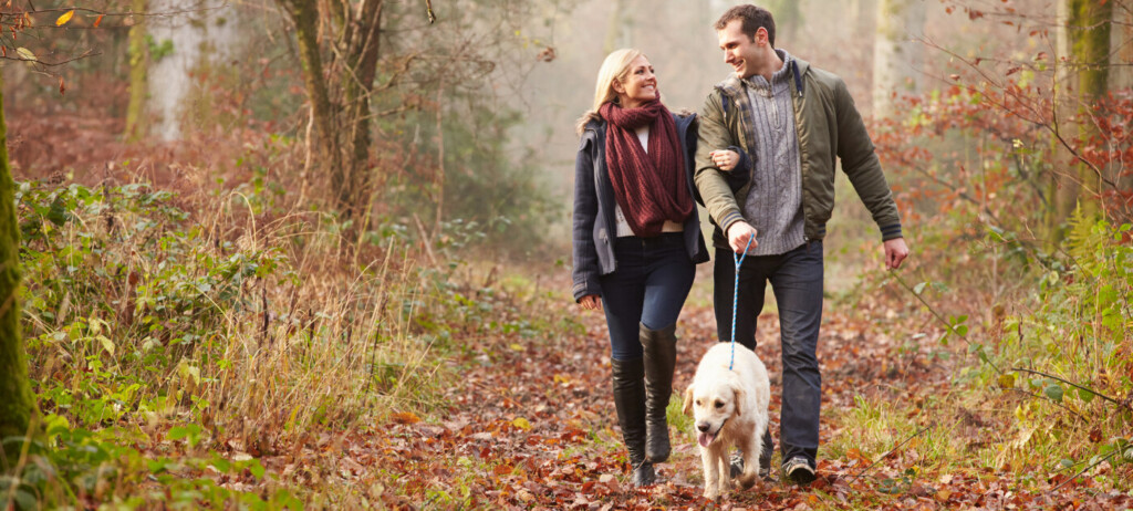 Personal Liability Insurance solutions from XINSURANCE