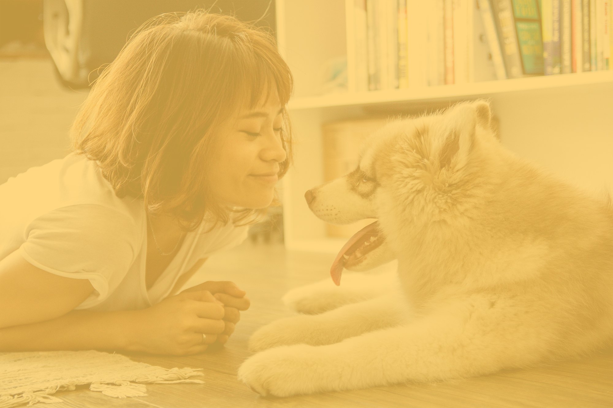 Woman and husky puppy lying on floor